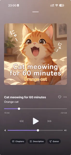 The Whisora iOS app playing an hour-long audio track, showing artwork, a
              scrubber, playback controls, and buttons for chapters, description and queue.
